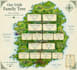 research your irish family tree
