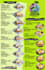redesign your restaurant menu to look modern and appetizing