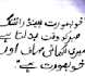 write neat handwritten notes, letters in urdu and english