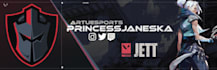 design custom esports banners and gaming graphics