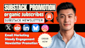 do substack promotion substack subscriber substack newsletter, substack setup