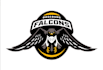 design custom military tactical army logo patch badge