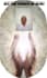 send a pure and powerful distant reiki session
