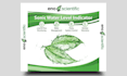 professionally design a banner billboard or rollups