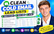 clean cold email lead list remove duplicate format sheet csv data