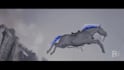create realistic 3d animal animation, fur, xgen, cgi art, 3d rig vfx compositing