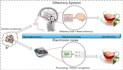 analyze scientific data, create graphs, and assist with research