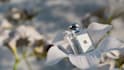 create luxury 3d perfume bottle animation and cgi perfume ads
