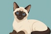 draw realistic animal portraits