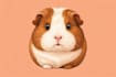 make personalized pet art