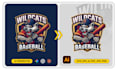 vectorize your logo or redraw ai image to vector