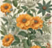 hand paint botanical illustrations