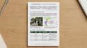 prepare bs5837 tree constraints plans and impact reports