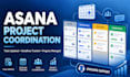 manage asana projects update tasks and keep deadlines on track