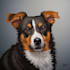 paint stunning pet portrait
