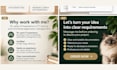 write user stories, requirements and acceptance criteria