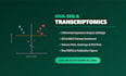 perform bioinformatics and drug analysis