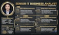 be your senior IT business analyst and user testing expert