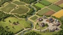 create vector farm map, ranch layout, field or vineyard map