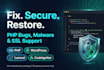audit and repair PHP website vulnerabilities