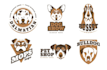 design high quality dog training logo