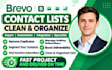 clean brevo contact list remove duplicate segment inactive holiday subscribers