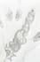 create henna mehndi designs