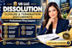 prepare US llc dissolution documents and final tax filing checklists