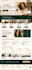 canva website canva website design canva website expert canva landing page canva