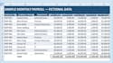 create automated excel payroll systems and employee master records