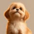 create a personalized pet portrait for a thoughtful gift