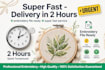 do embroidery digitizing logo to dst pes exp in 2 hours