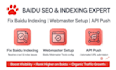 set up baidu webmaster and fix baidu indexing issues