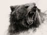 create realistic animal illustration