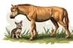 create realistic animal illustration