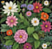 hand paint botanical illustrations