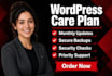 provide monthly wordpress website care plan, updates backups and security checks