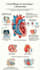 design medical study and educational infographics