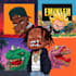 draw unique cartoon album covers
