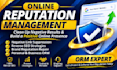 provide online reputation management, ORM, and negative link suppression