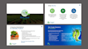 design modern and professional powerpoint presentation