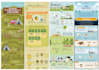 create a stunning and eye catching infographic