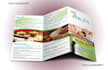 design professional tri fold brochure trifold