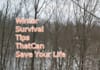 write up to 300 words on how to survive in a cold weather environment