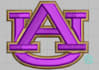 do embroidery digitizing in 2hours