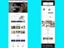 design and develop responsive SEO friendly wordpress website