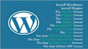 install,fix ,optimize or Build WordPress Blog or theme