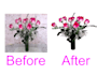do anything with Photoshop in 24 Hours