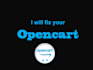 fix any issues and bugs in opencart online store