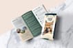 design corporate flyer, brochure or postcard design